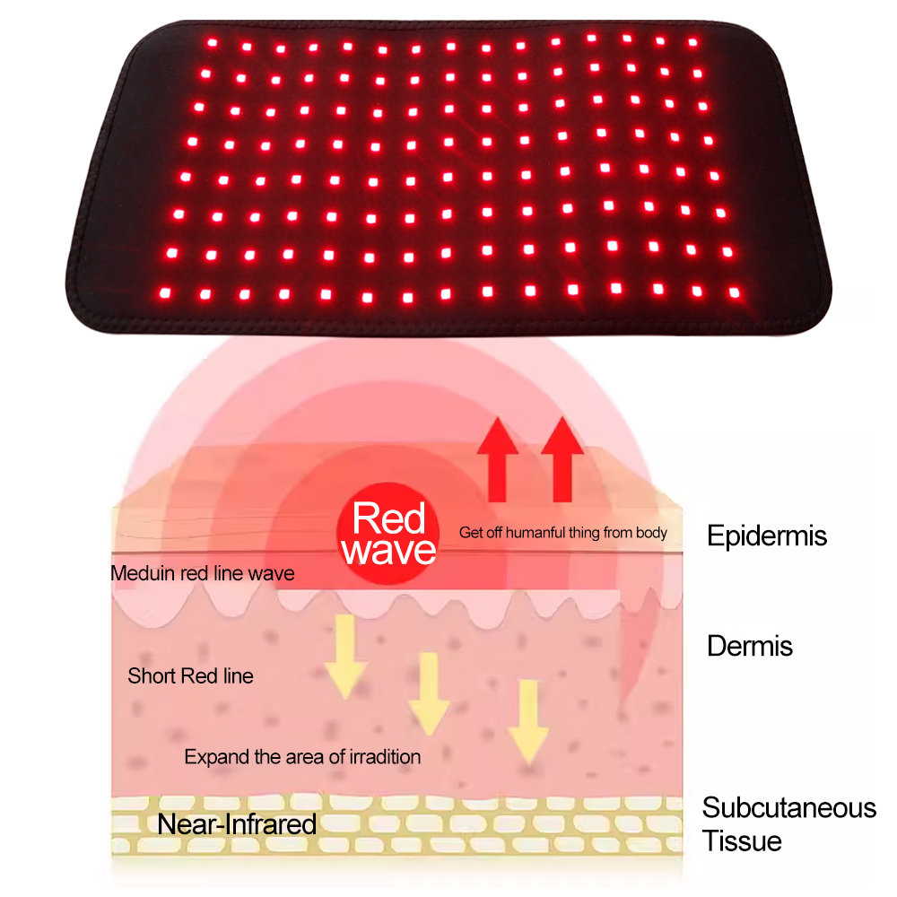حزام للجسم بالكامل مع 120 مصبا - مراجعة Red Light Therapy Belt وسعره
